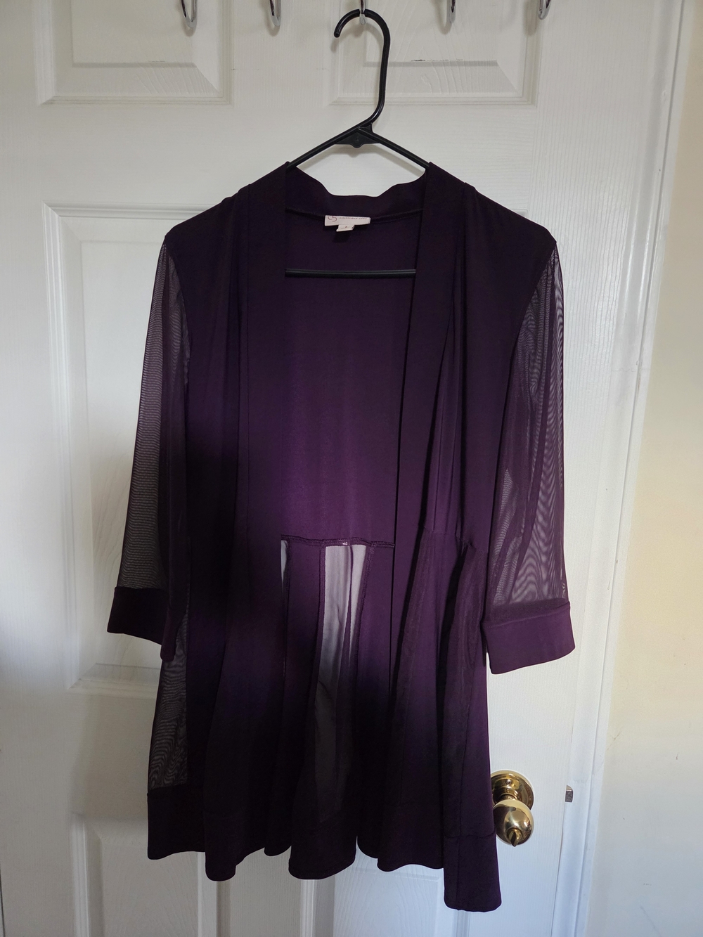Sheer Plum Open Front Cardigan